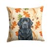Black Newfoundland Heirloom Fall Throw Pillow Decorative Indoor Outdoor Accent Cushion for Couch, Bed or Patio, 14Hx14W