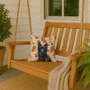 Schipperke Heirloom Fall Throw Pillow Decorative Indoor Outdoor Accent Cushion for Couch, Bed or Patio, 14Hx14W