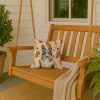 Blue Merle Sheltie Heirloom Fall Throw Pillow Decorative Indoor Outdoor Accent Cushion for Couch, Bed or Patio, 14Hx14W