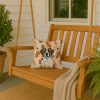Brindle and White Saint Bernard Heirloom Fall Throw Pillow Decorative Indoor Outdoor Accent Cushion for Couch, Bed or Patio, 14Hx14W