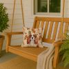 Blenheim English Toy Spaniel Heirloom Fall Throw Pillow Decorative Indoor Outdoor Accent Cushion for Couch, Bed or Patio, 14Hx14W